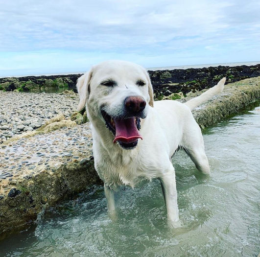 ERICKA_WALLER_BUDDY_PADDLE.jpeg