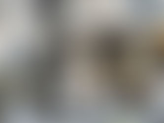 FEED STILL BRINGS COWS TO THE ROBOT