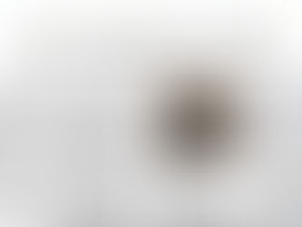 As seen in Hoard's Dairyman: Can we skip feed in the robots?