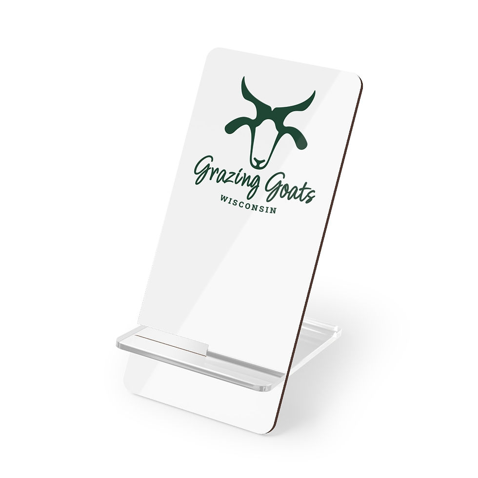 Thumbnail: Mobile Display Stand for Smartphones