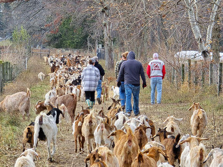 Upcoming fall farm activity for Whitewater area families