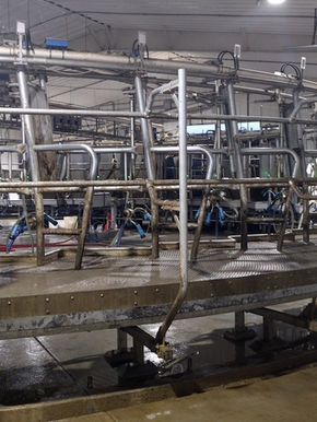 Rotary parlor in Colorado
