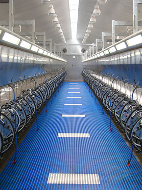 DeLaval Champion Parlor