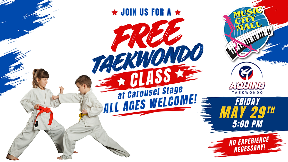 FREE Taekwondo Class