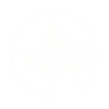 MicrosoftTeams-image (7).png