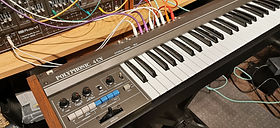 Roland System 100m