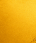 BEMi golden background_edited_edited_edited.png