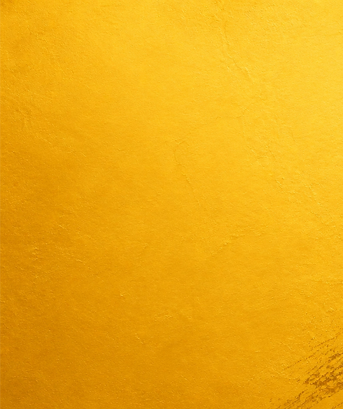 BEMi golden background_edited_edited_edited.png