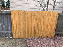 IMG_5724.jpeg