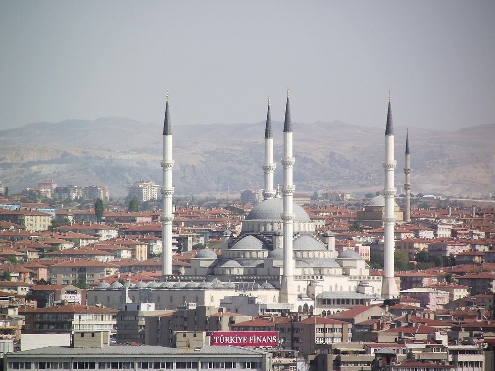 ankara-70528_1280.jpg