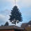 Miniaturbild: Weihnachtsbaum 2022 - Überseering