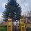 Miniaturbild: Weihnachtsbaum 2022 - Überseering