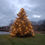 Miniaturbild: Weihnachtsbaum 2022 - Überseering
