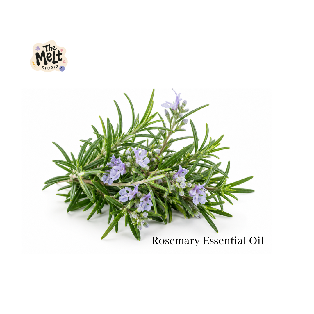 pure rosemary essential oil for hair growth