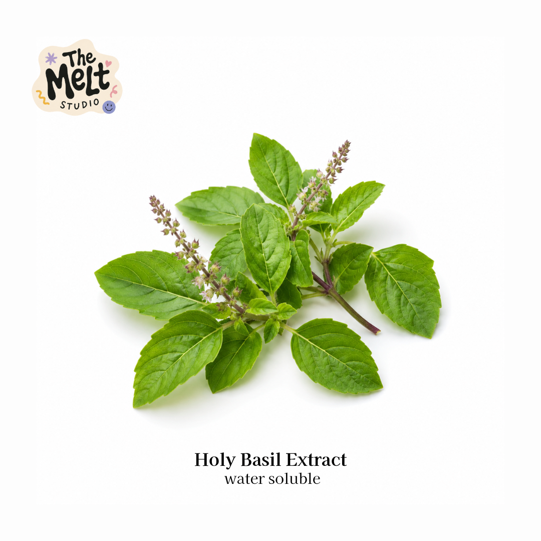 pure holy basil tulsi extract water soluble for acne and dandruff - soap and cosmetic