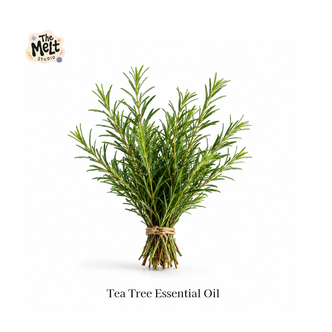 pure tea tree essential oil for acne cosmetic grade