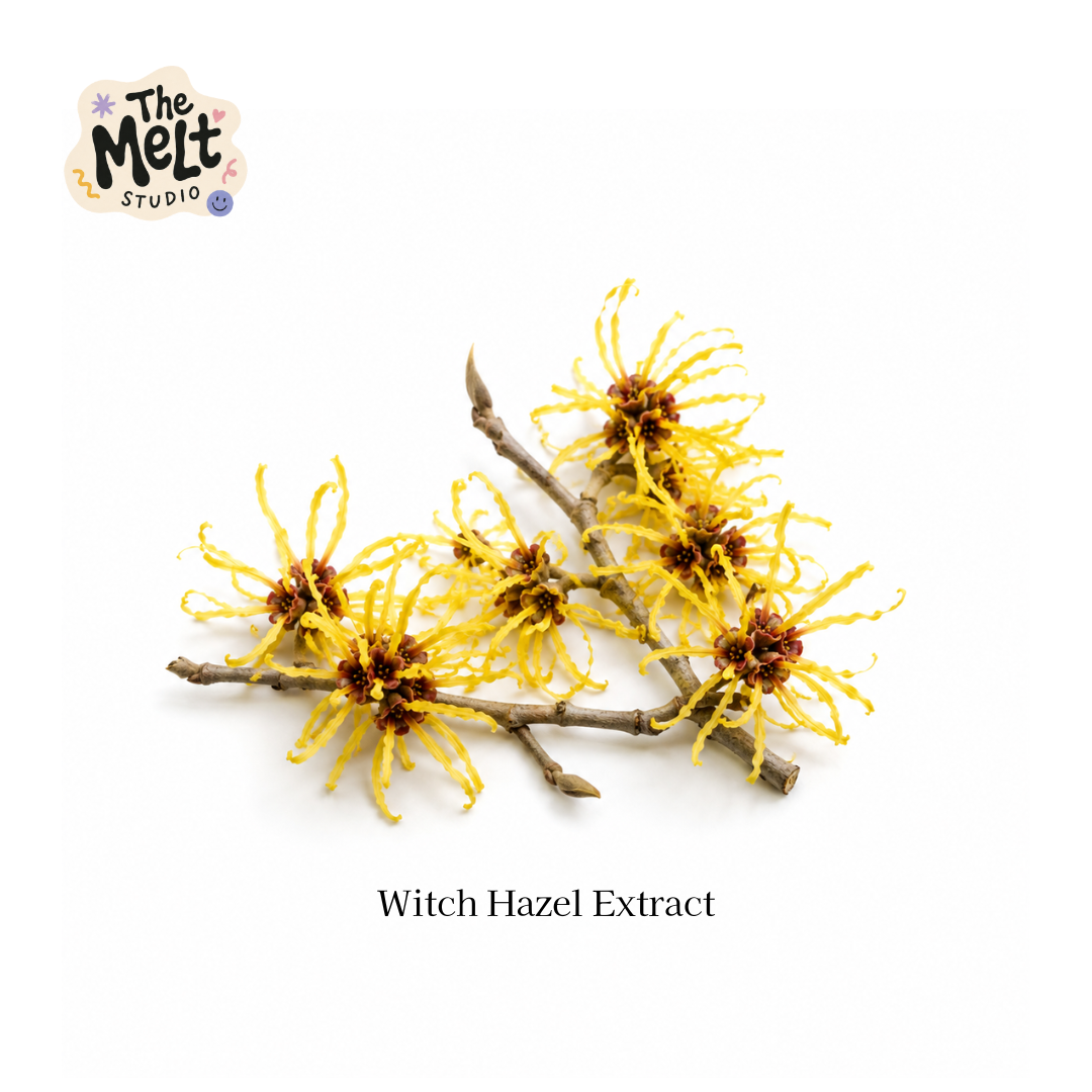 pure water soluble witch hazel extract for cosmetic