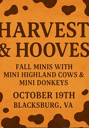 Fall Mini Photoshoot Flyer (2).png