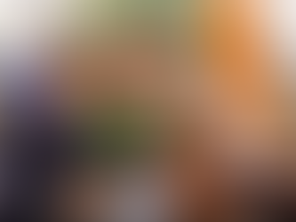 President Alexander Stubb with Prime Minister Narendra Modi