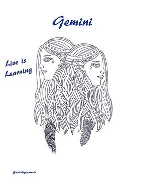 Gemini blanco y negro.jpg