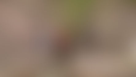 【活動報告】ピザと棒パンとやご?【4/28】