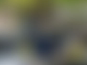 【お知らせ!】:7月の活動暦