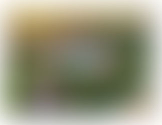 Top 5 Hotels for a Perfect Desert City Break in Riyadh & Dubai