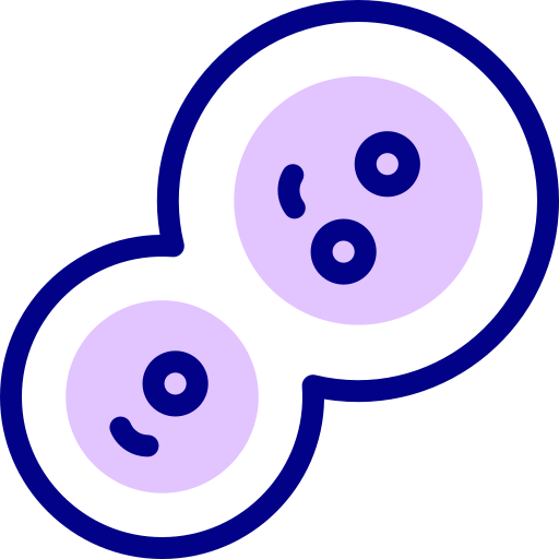 034-mitosis.png