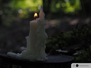 森のスープ屋の夜 9月オンラインストア受付