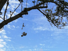 LeelaGarden 2th Anniversary