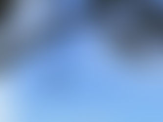 LeelaGarden 2th Anniversary