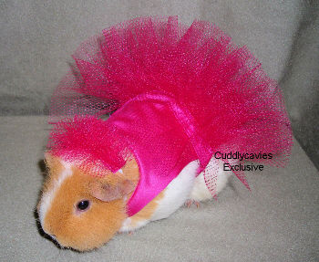 ballerinaone.jpg