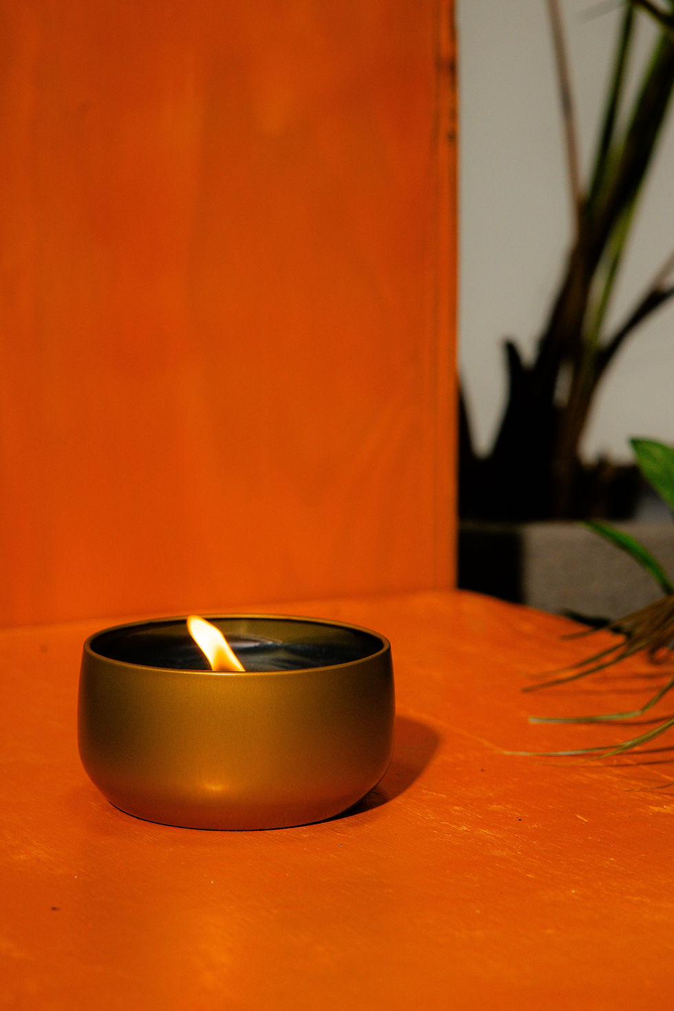 SonDay | Joyful🕯 Cranberry Woods . Cedar  & Palo Santos Wo