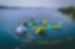 DJI_0777 (1).jpg