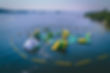 DJI_0777 (1).jpg