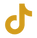 tictok icon.png