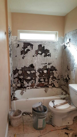 Starting demolition of bathroom