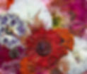 bright red and pink pressed dried flowers