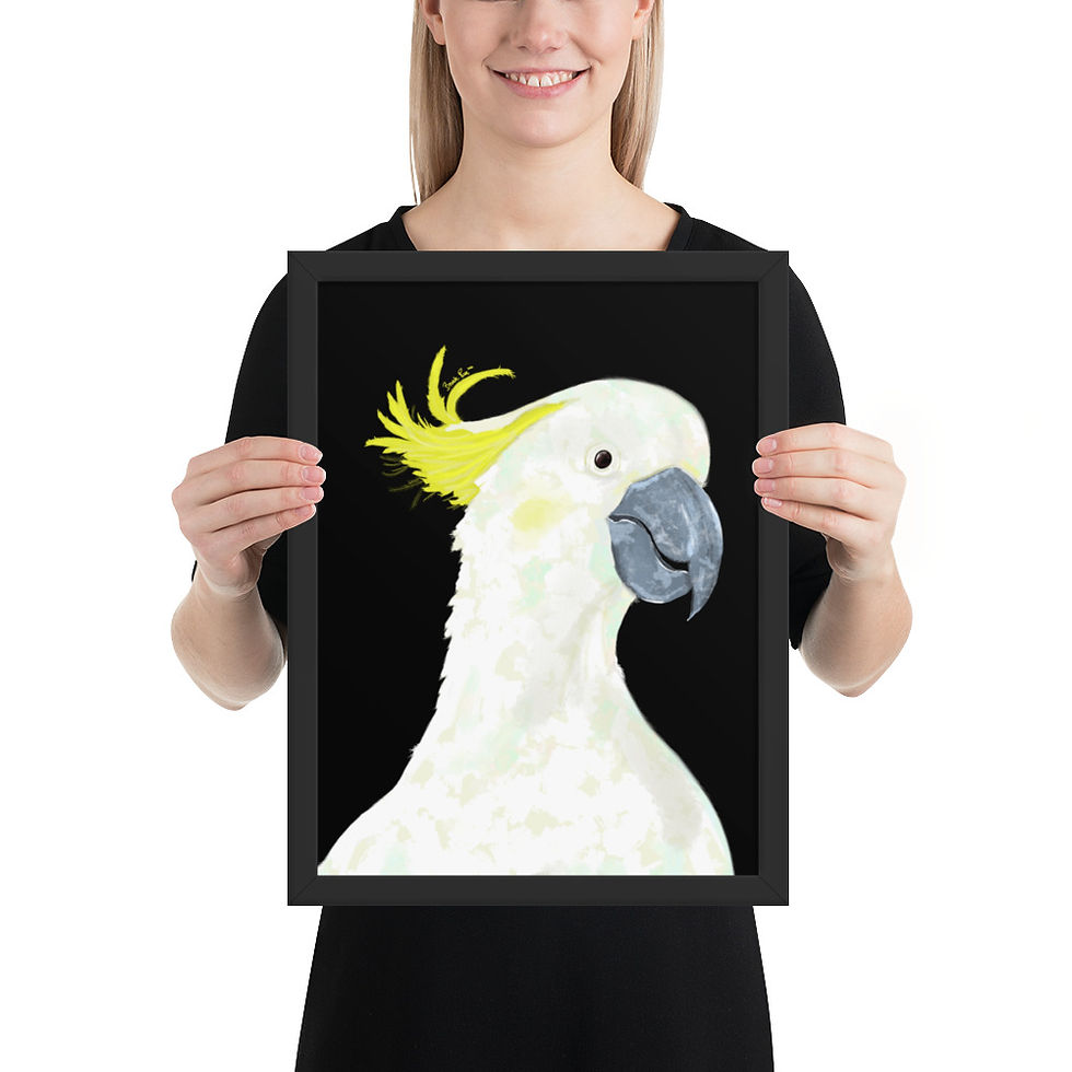 Thumbnail: Benedict the Cockatoo Framed Matte Paper Poster