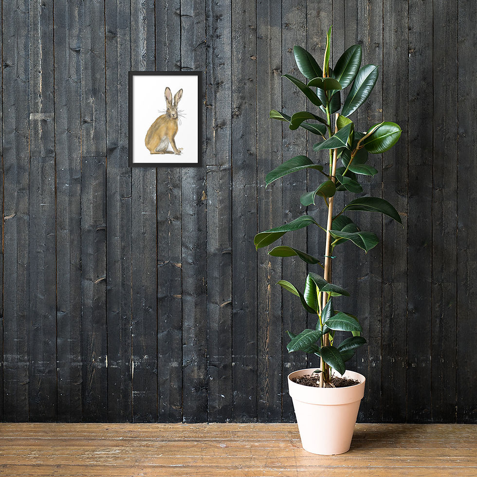 Thumbnail: Alert Hare Framed Matte Paper Poster White Background