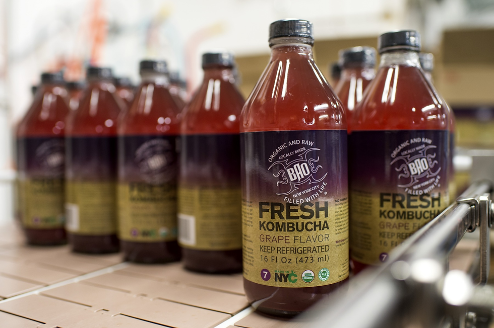 Is Kombucha good for you