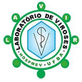 LAVIR LOGO_edited.jpg