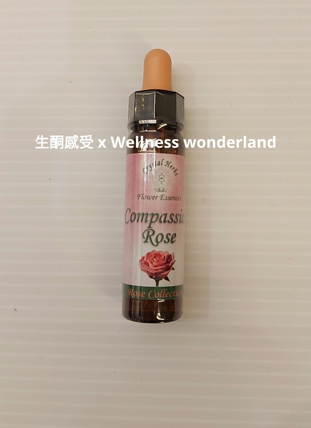 Rose Collection Essences Compassion rose
