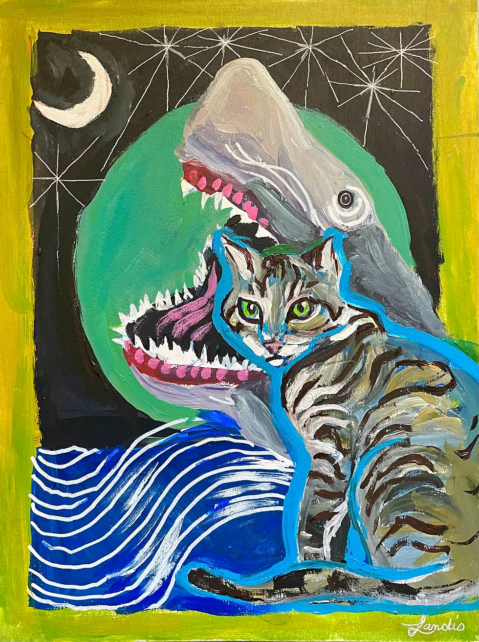 Kitty Shark
