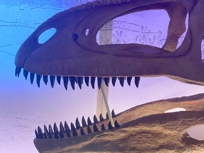 パタゴティタン