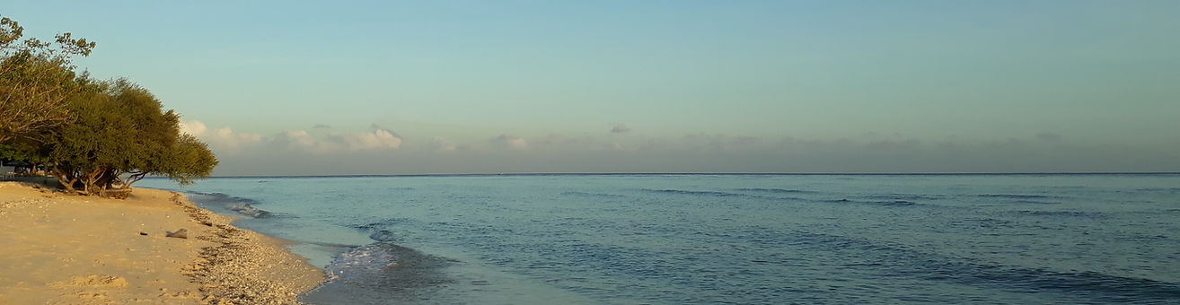 2018-07-01 06.56.24.jpg