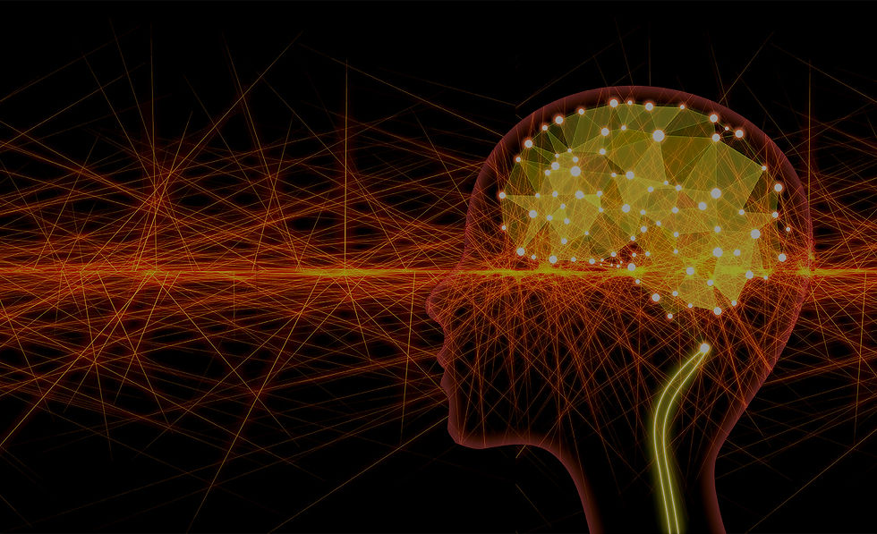 アートボード 1.jpg