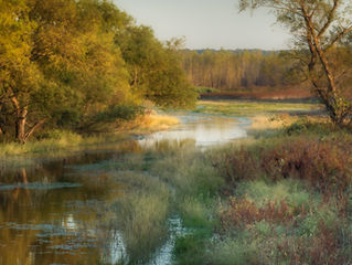 The ART of Photography