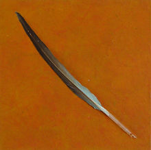 Blue Feather-L1330533.jpg