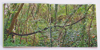 Standpoint (2 pgs.-vines) L1360420.jpg